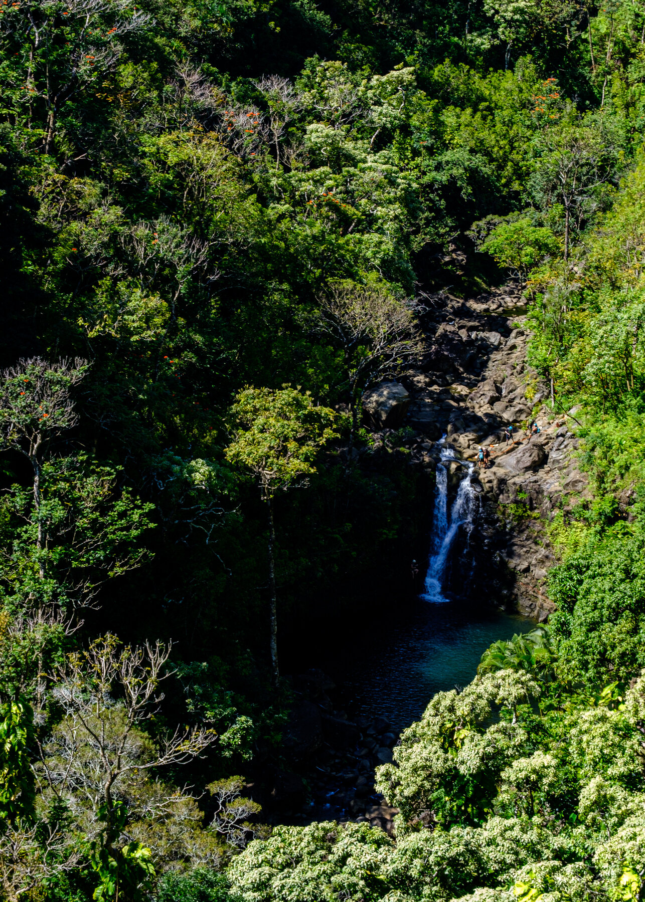 MAUI2021-13.jpg