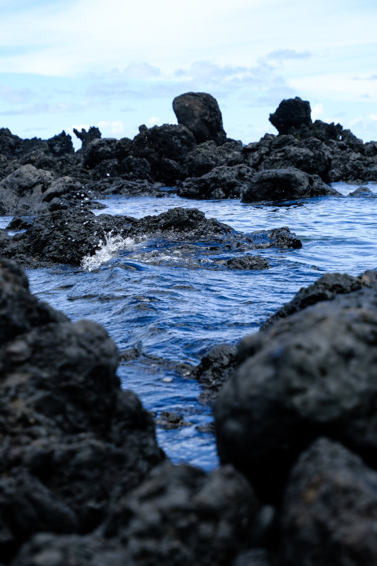 MAUI2021-21.jpg