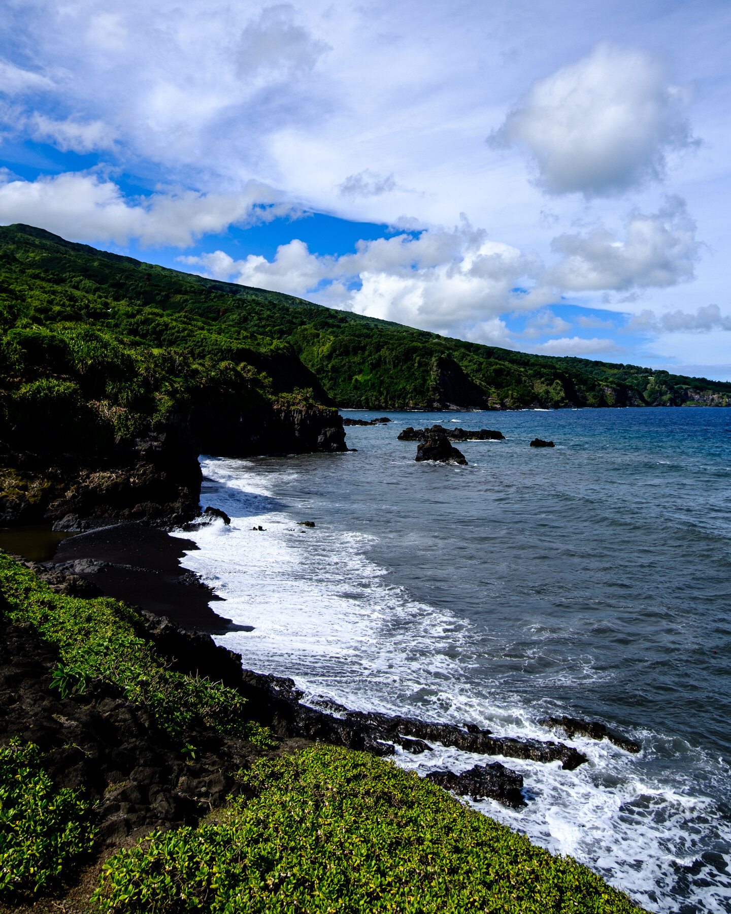 MAUI2021-25.jpg