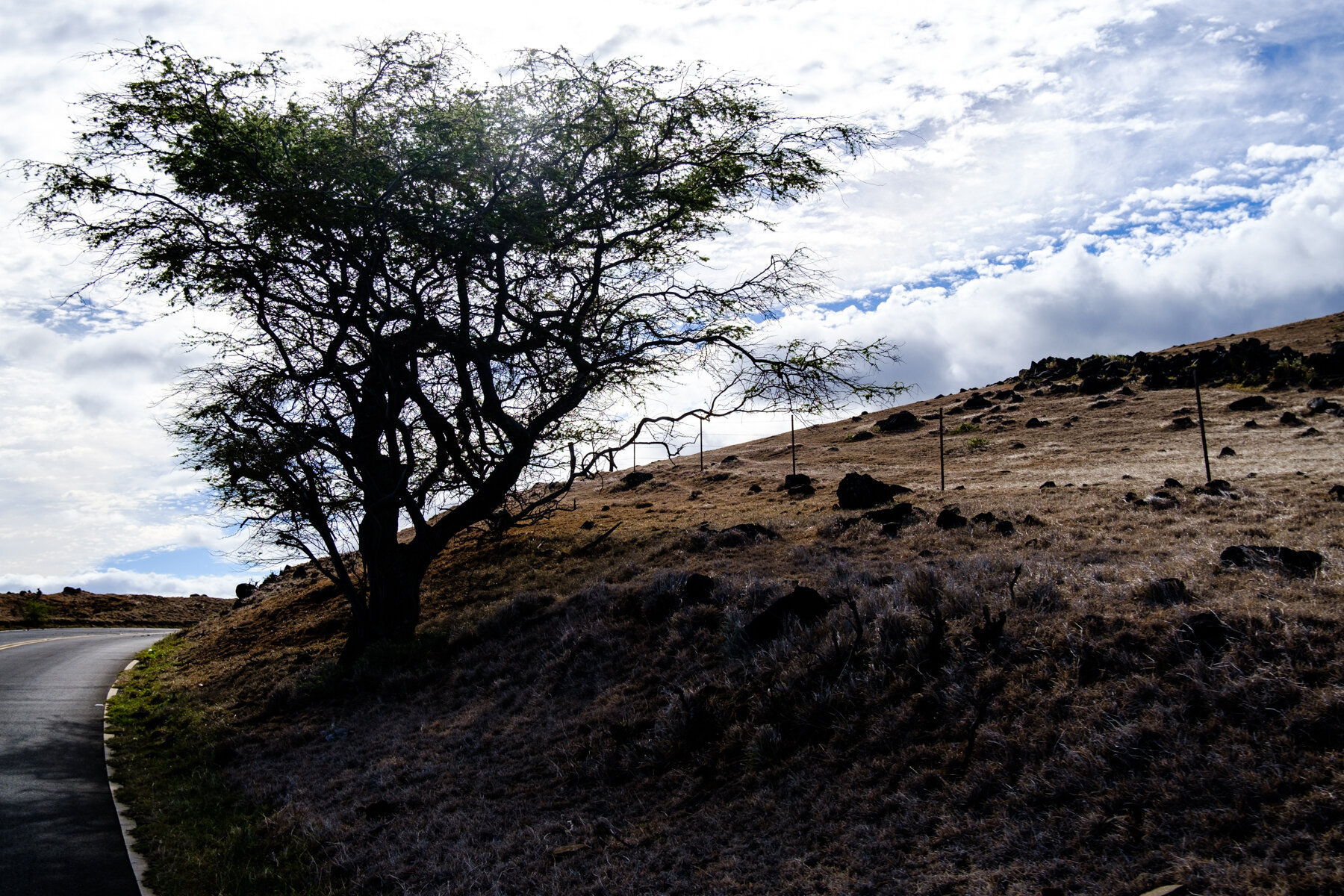MAUI2021-28.jpg