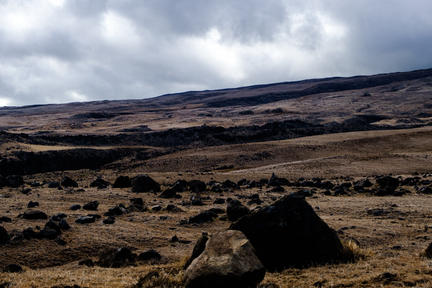 Barren Landscape