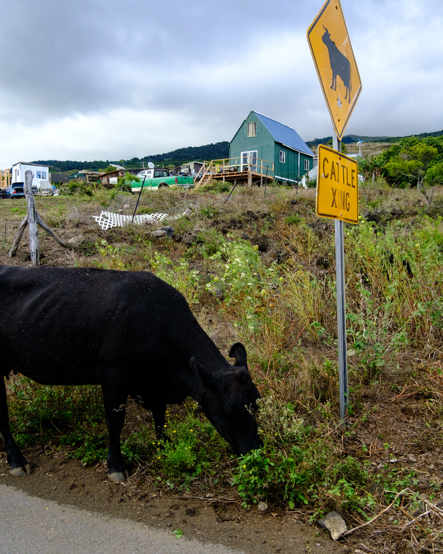 MAUI2021-40.jpg