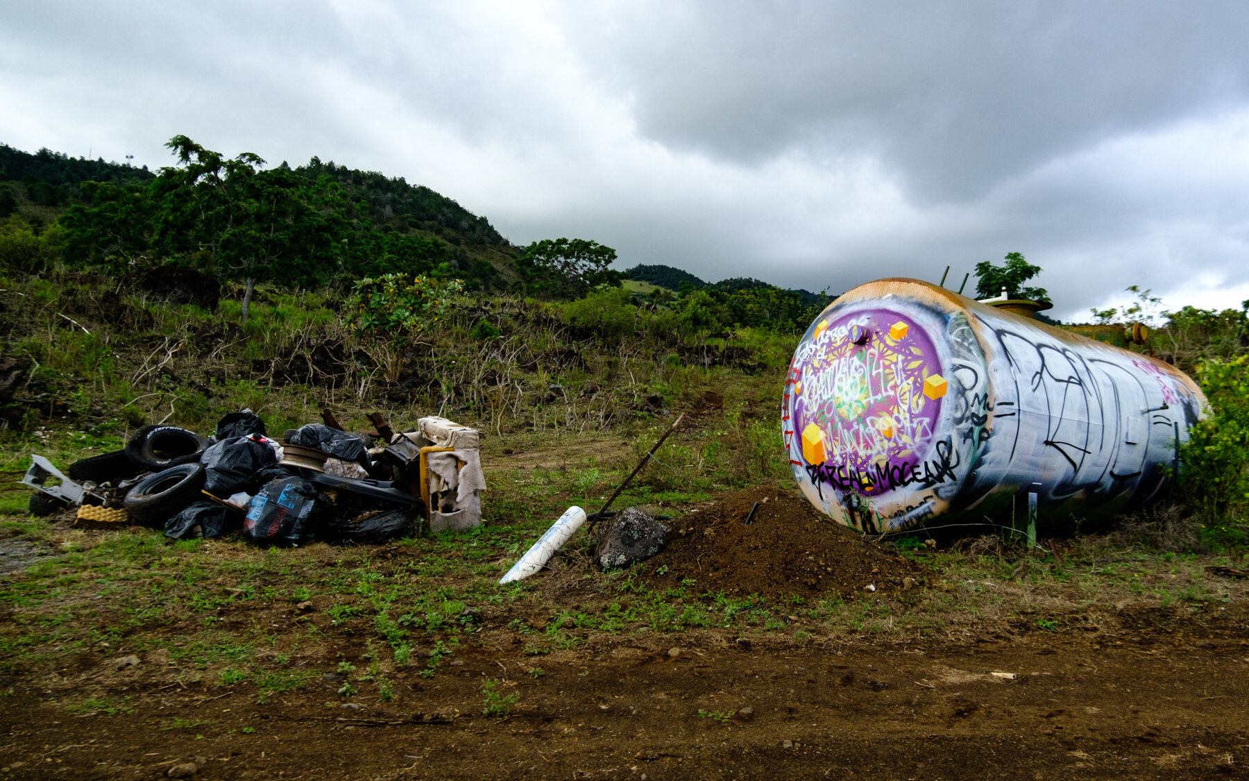 MAUI2021-43.jpg