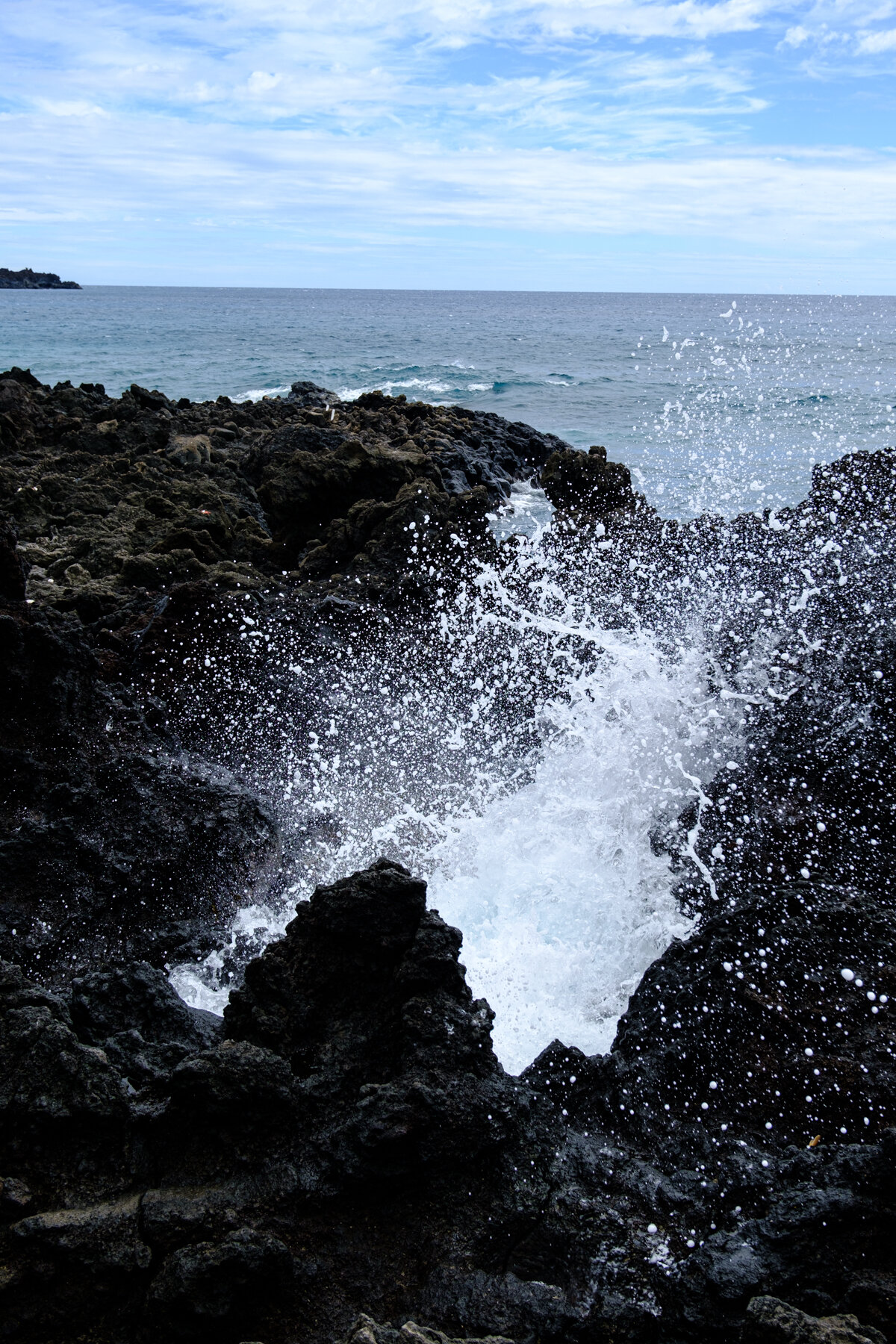 MAUI2021-52.jpg