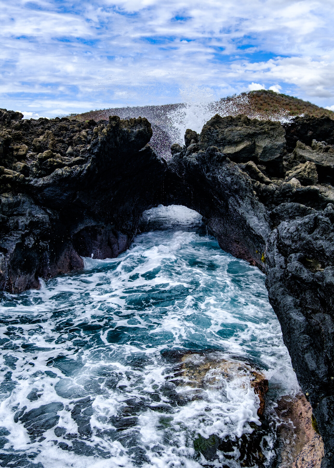 MAUI2021-53.jpg
