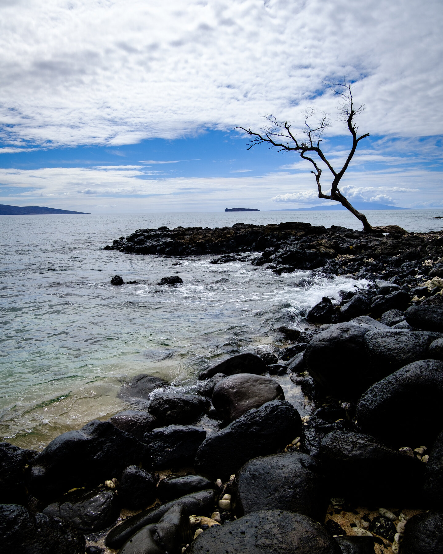 MAUI2021-54.jpg