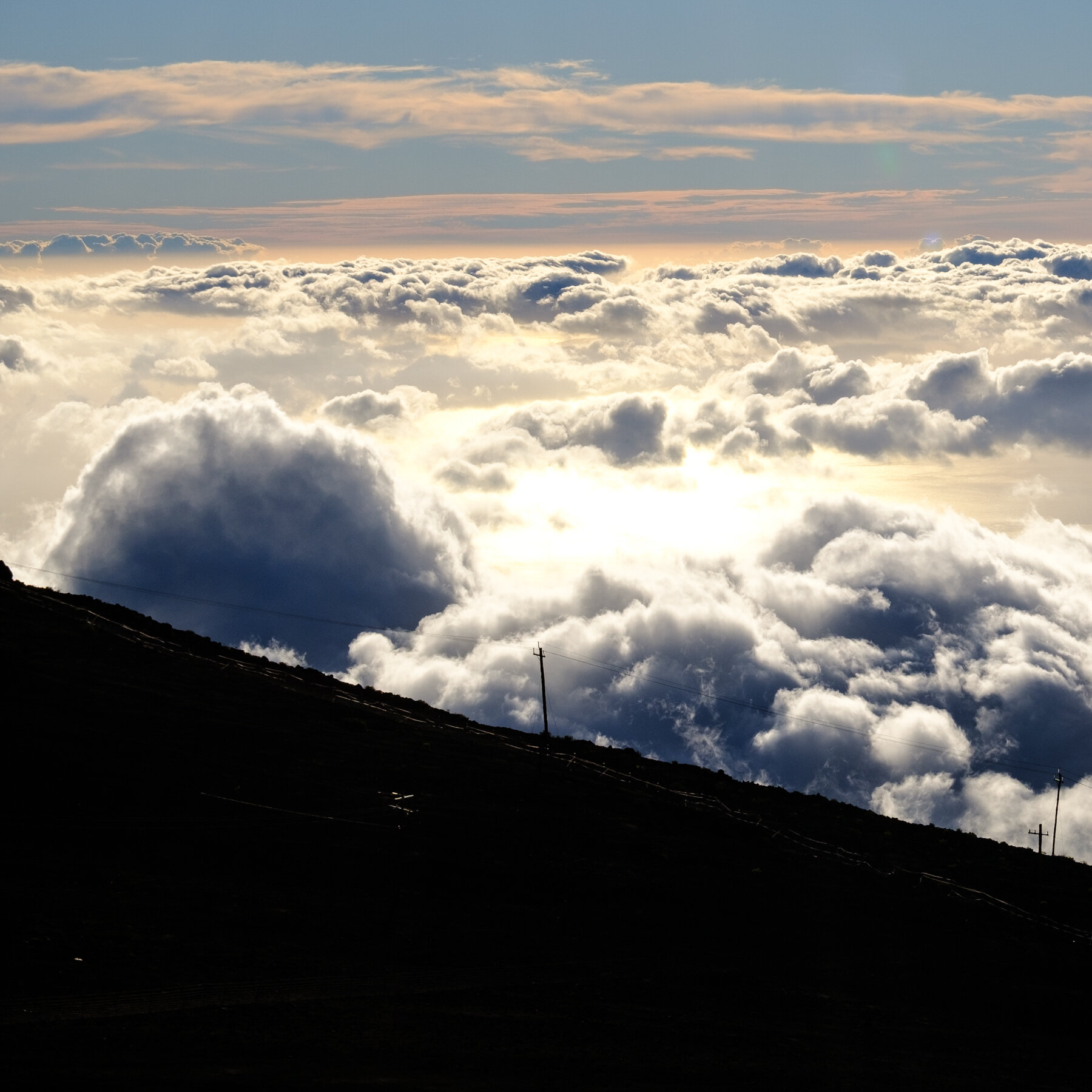 MAUI2021-69.jpg