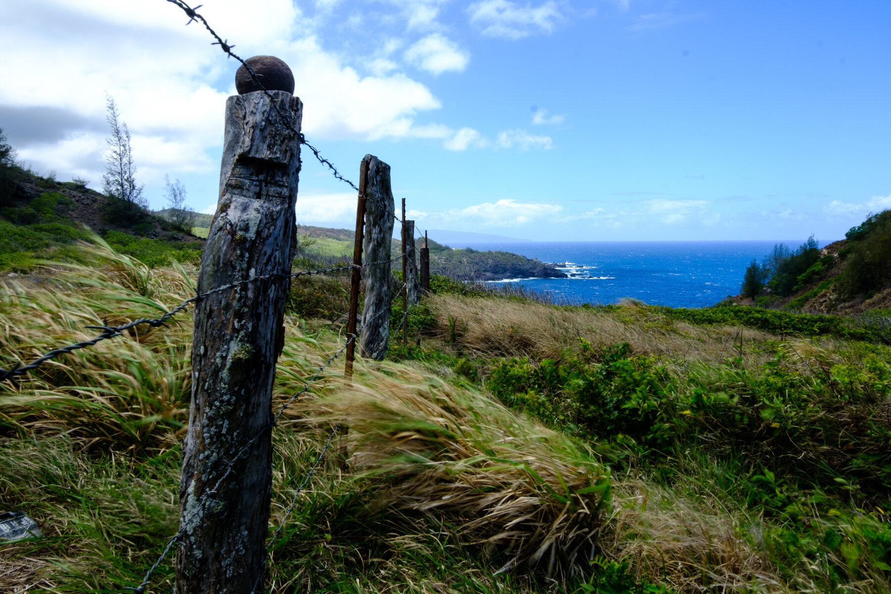 MAUI2021-82.jpg