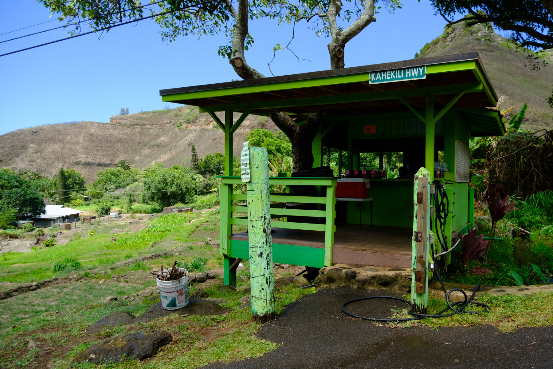 MAUI2021-84.jpg