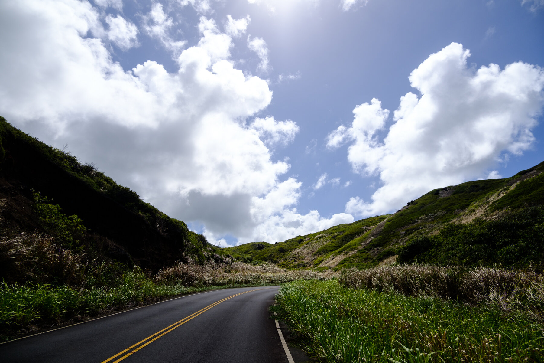MAUI2021-86.jpg