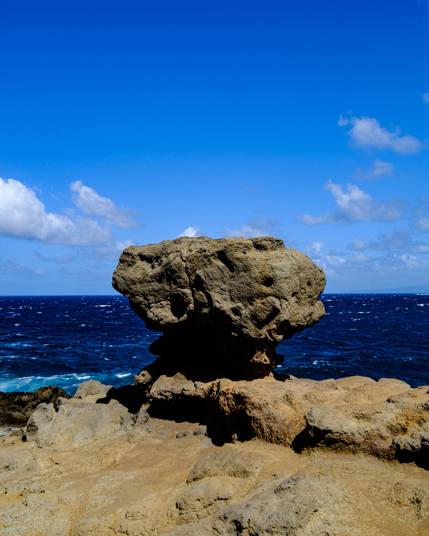 MAUI2021-88.jpg