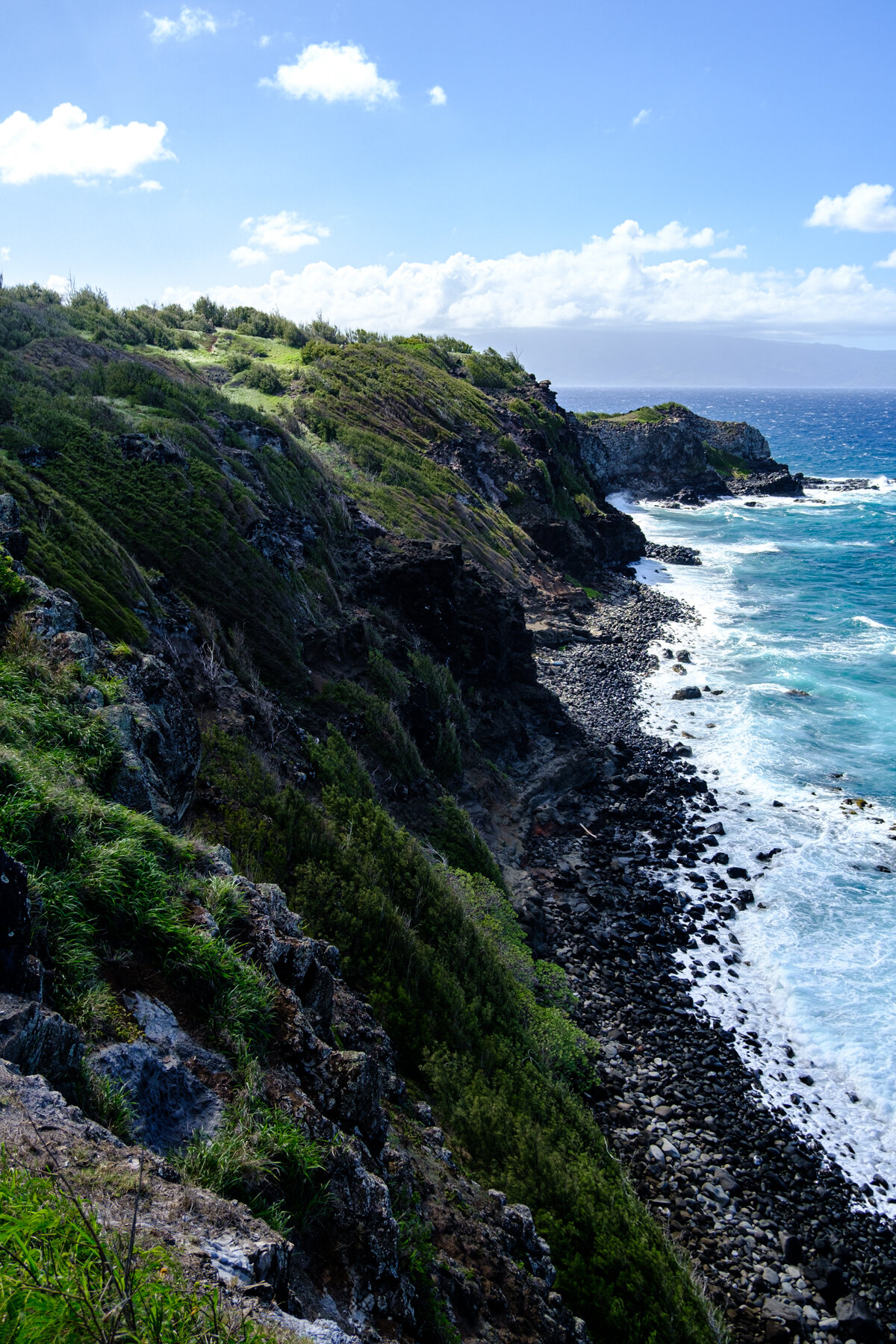 MAUI2021-93.jpg