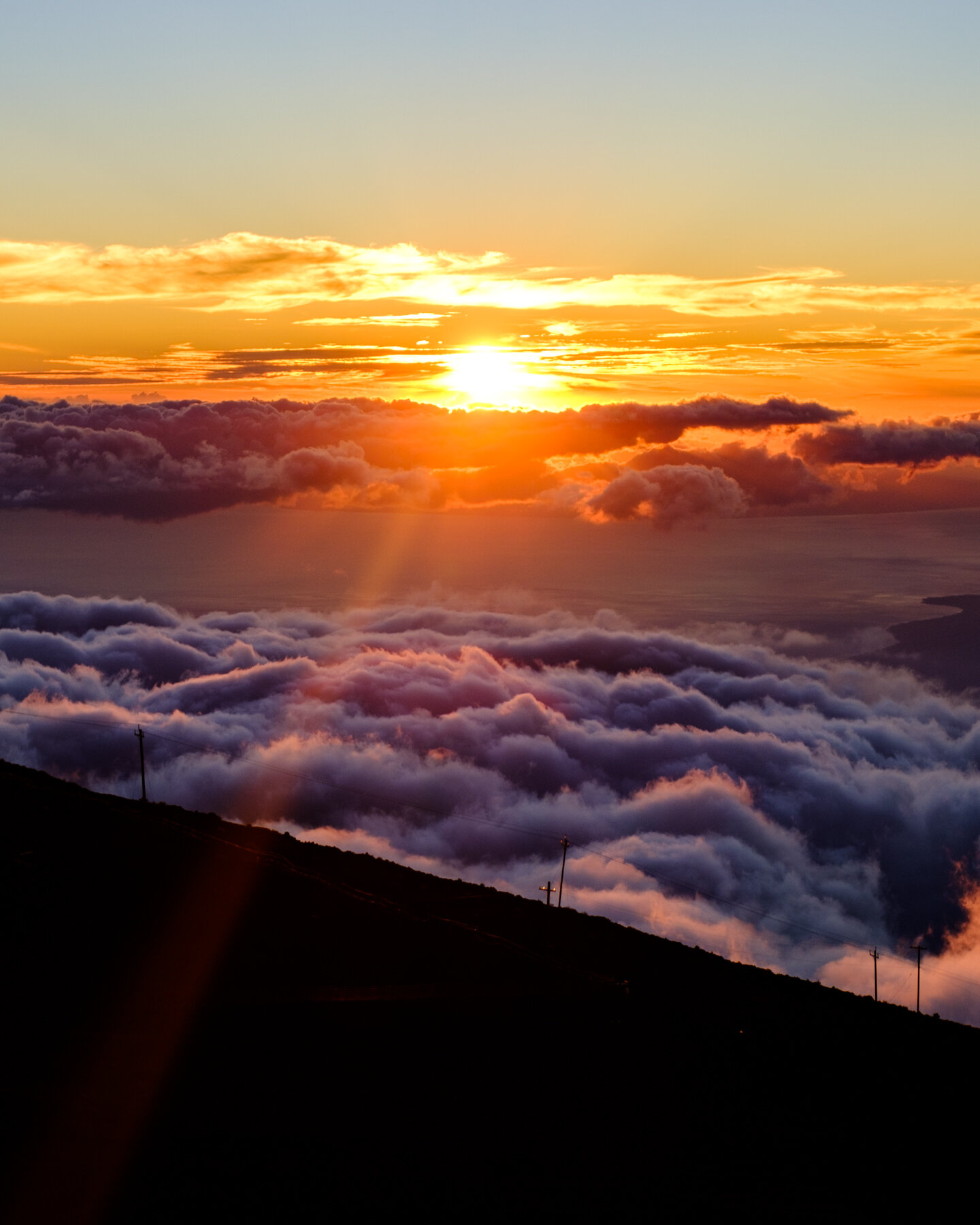 MAUI2021sq-1-4.jpg