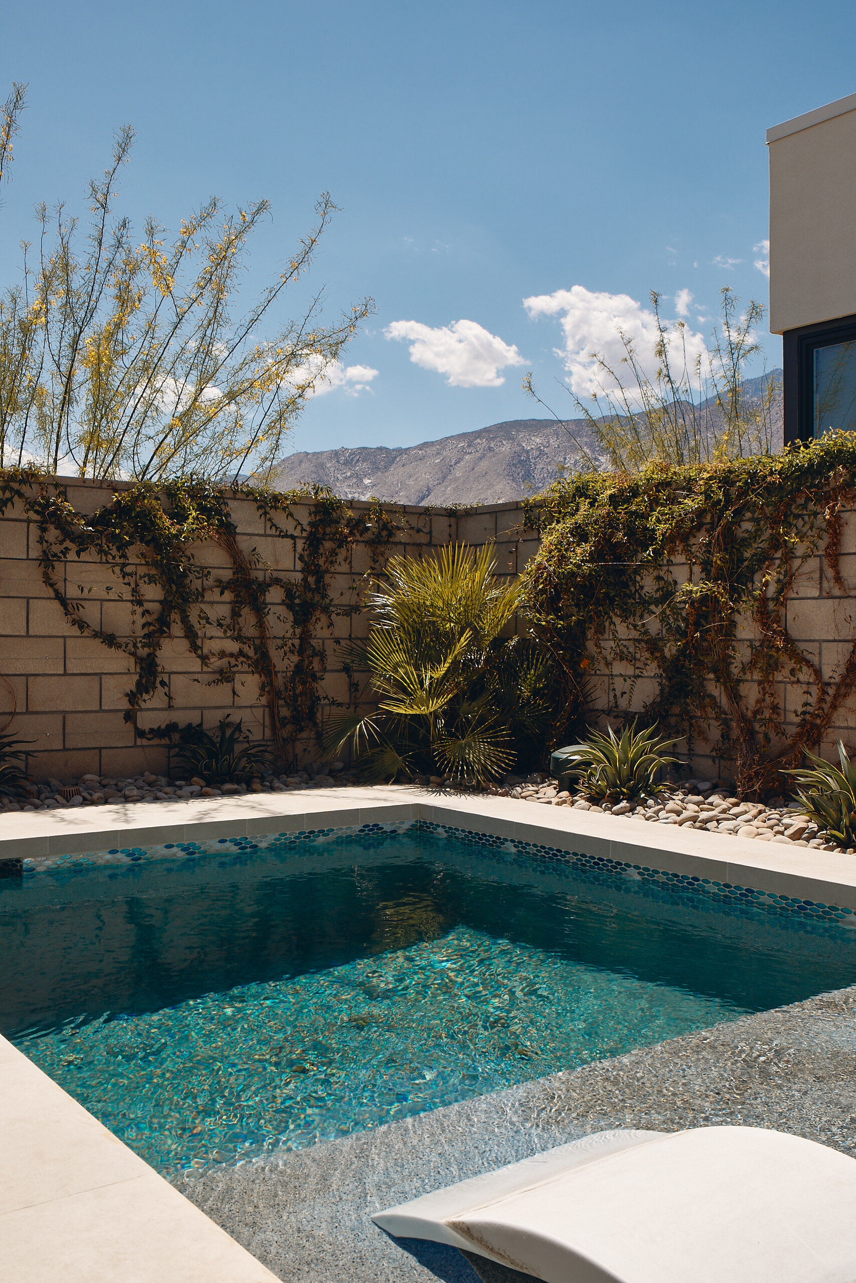 miralon_scout 86.jpg