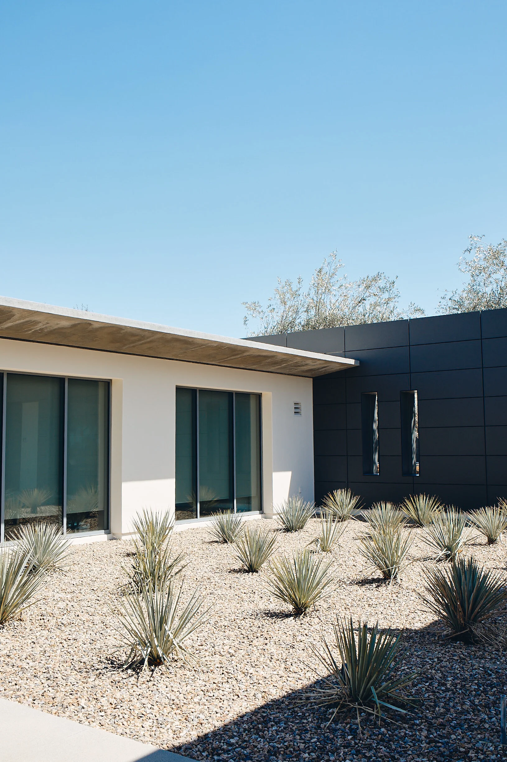 miralon_scout 146.jpg