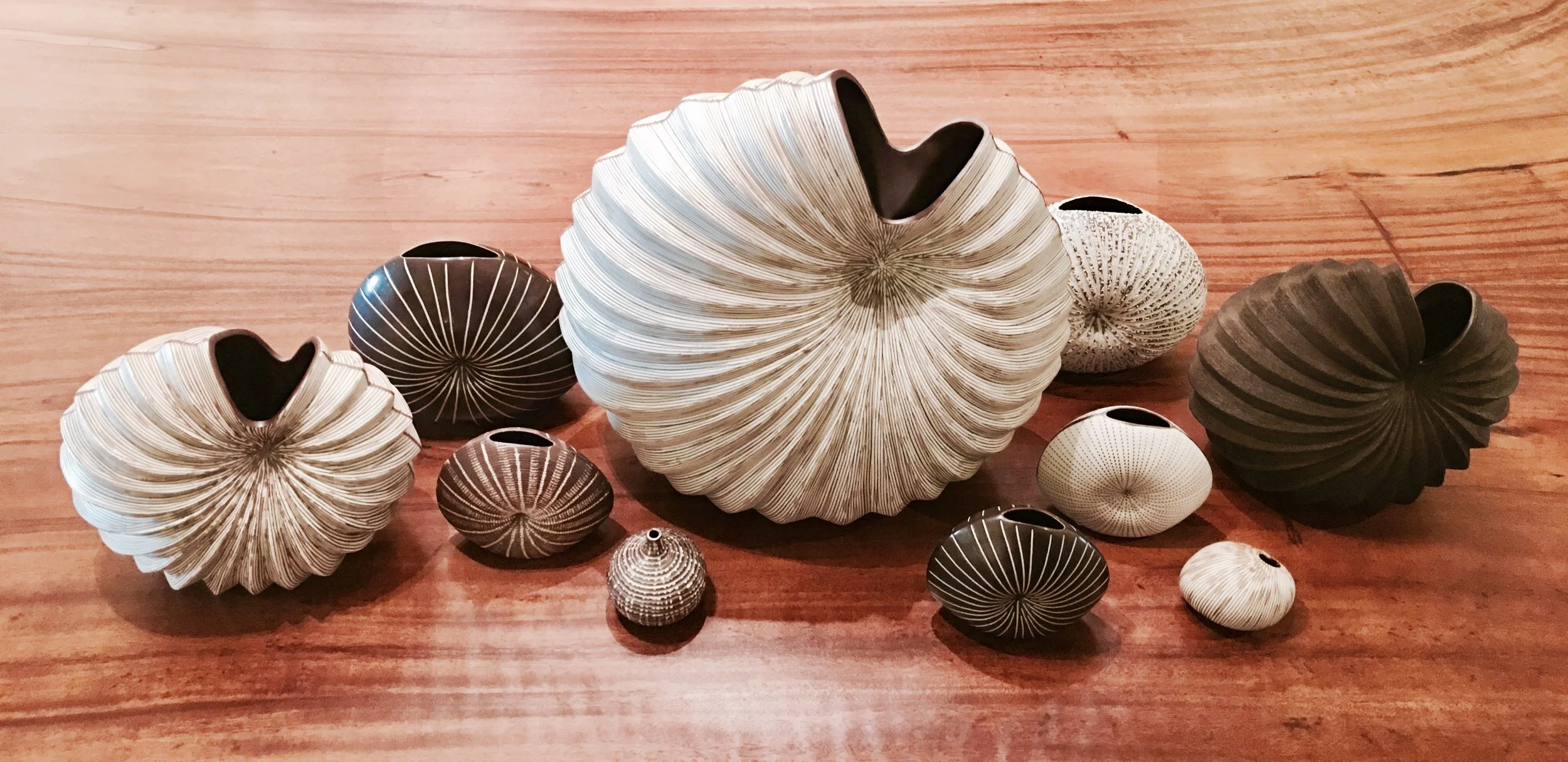 Photo Aug 10, 4 52 59 PM.jpg