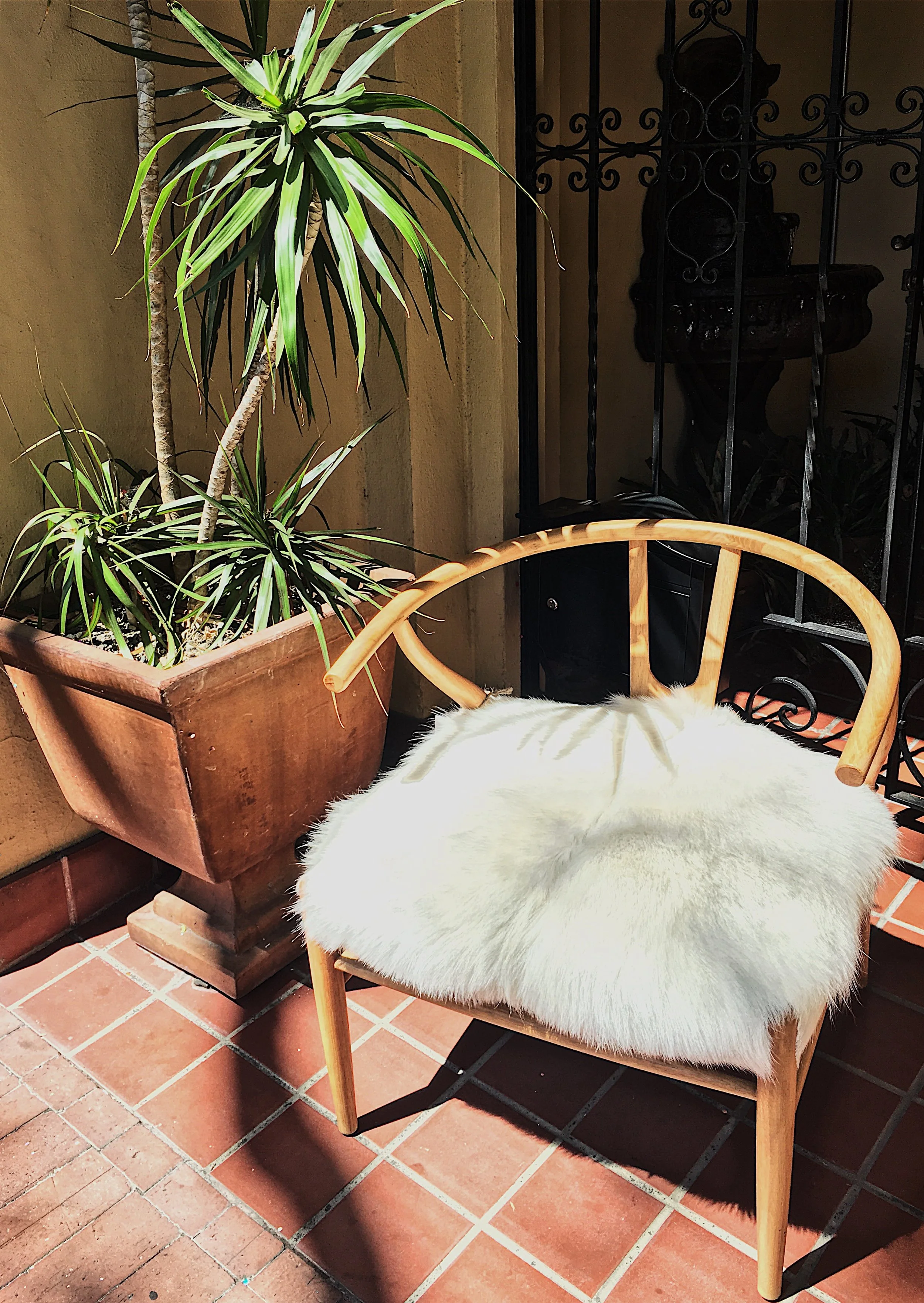 Photo Aug 07, 2 54 11 PM.jpg