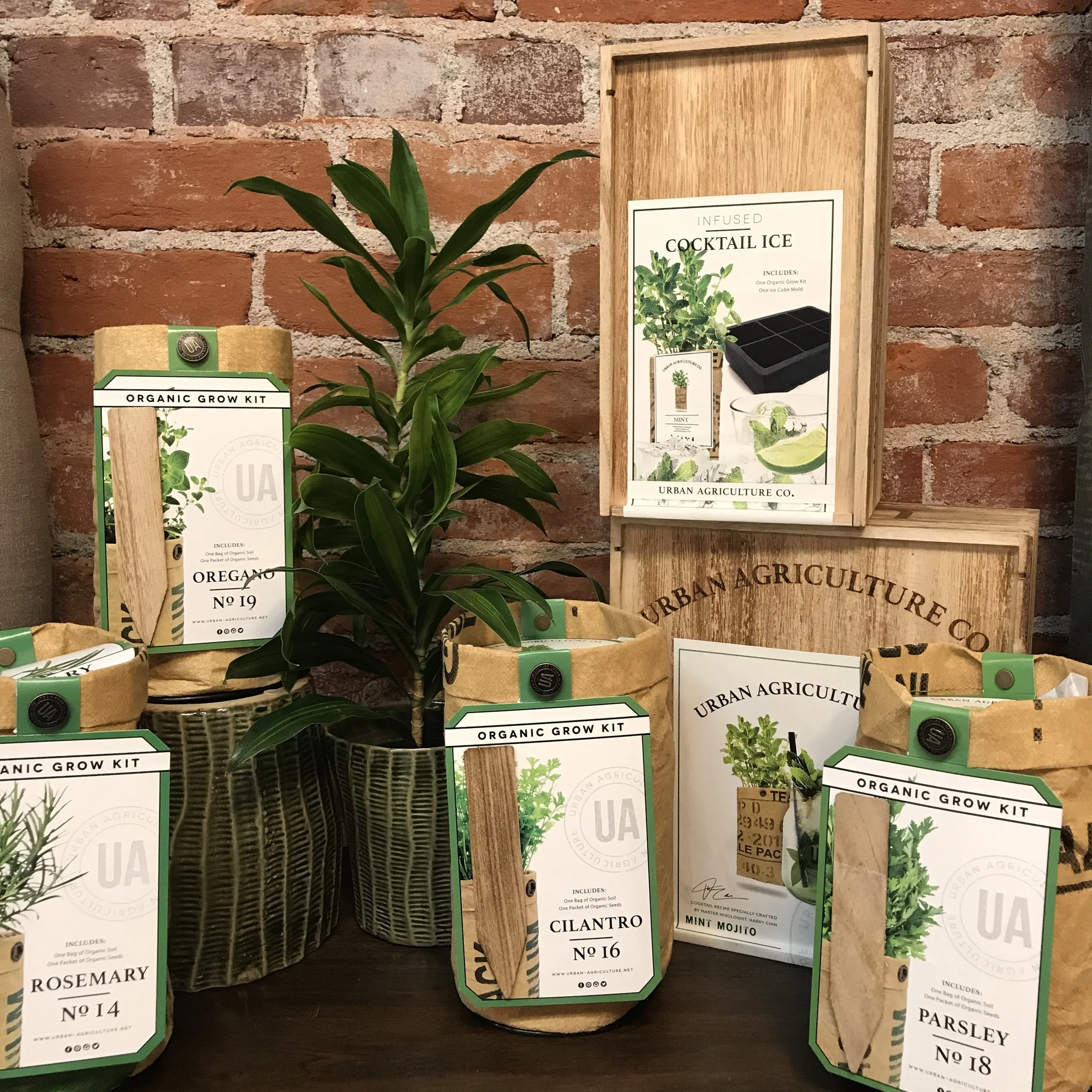 Photo Sep 08, 4 40 57 PM.jpg