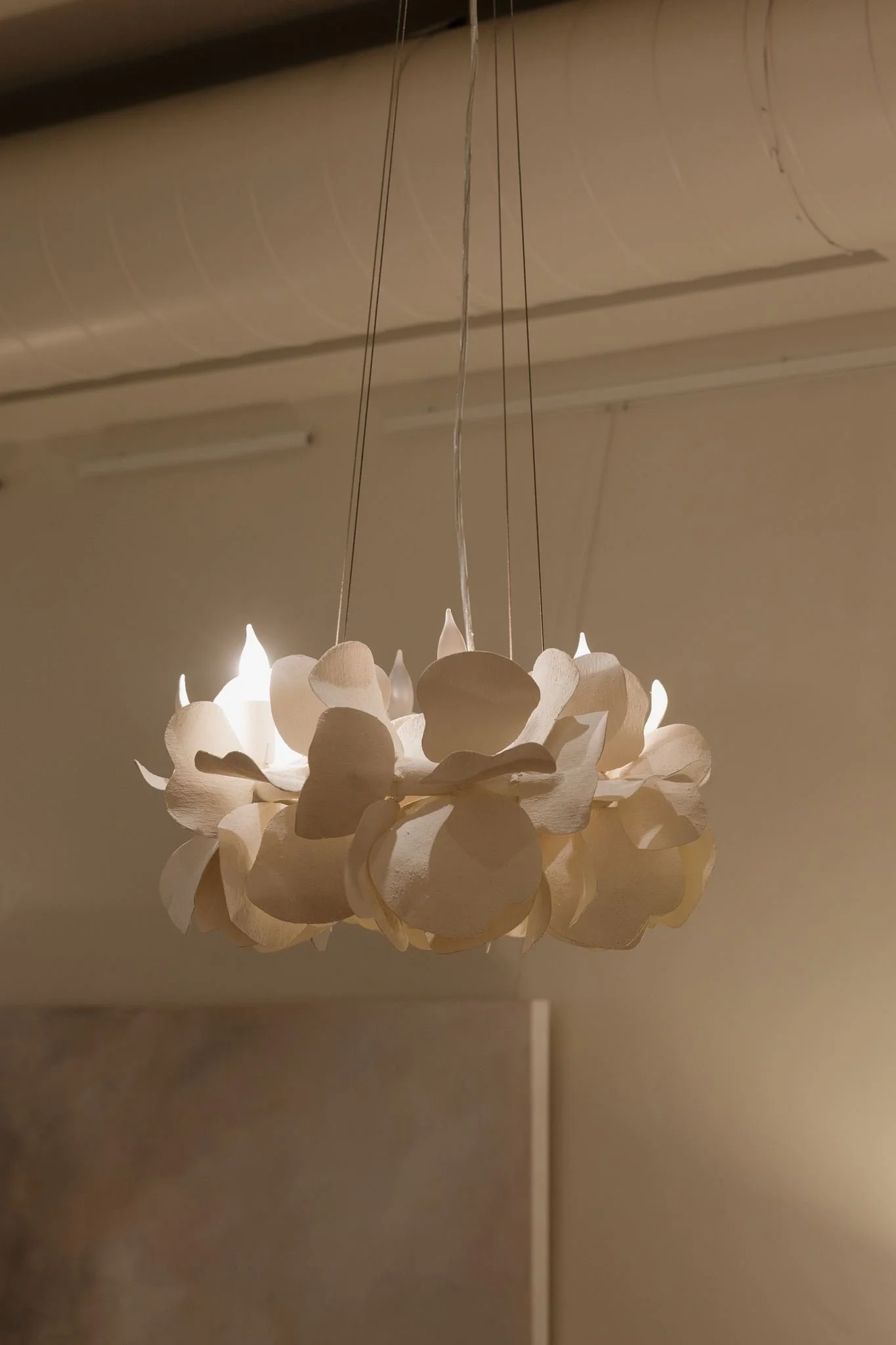 Celadon-House-Santa-Barbara-Showroom-151.jpg