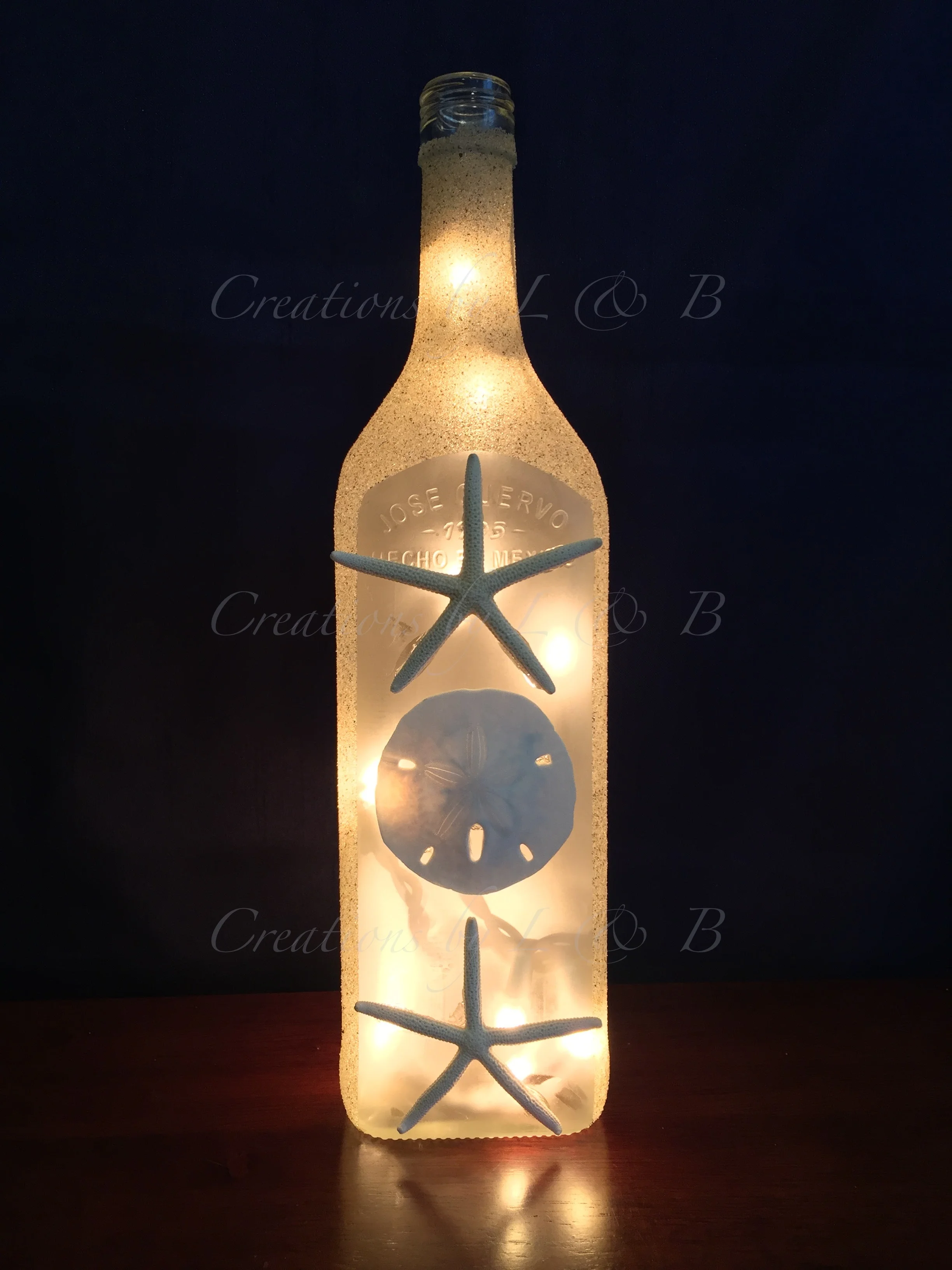 Sand Dollar & Starfish