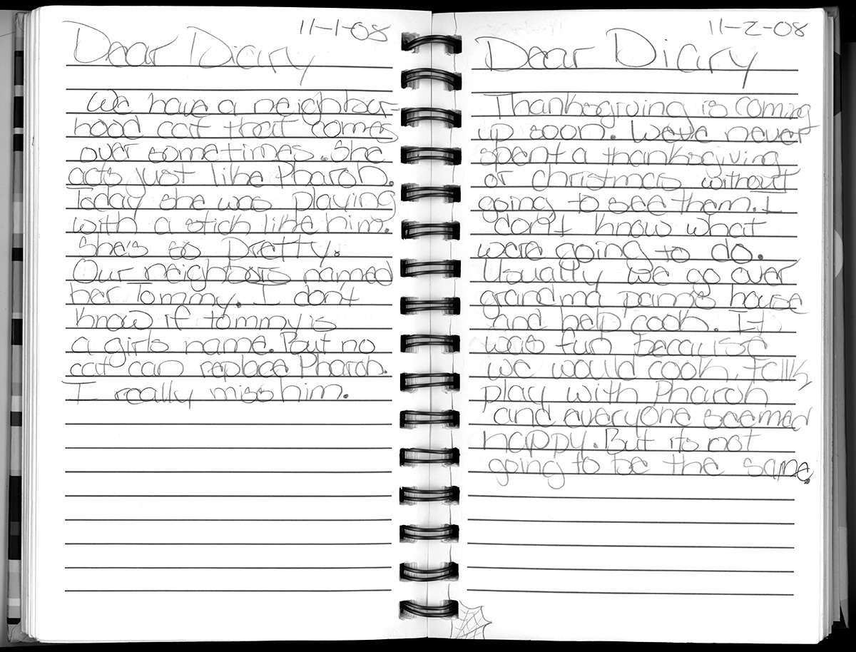 diary-entry-033.jpg