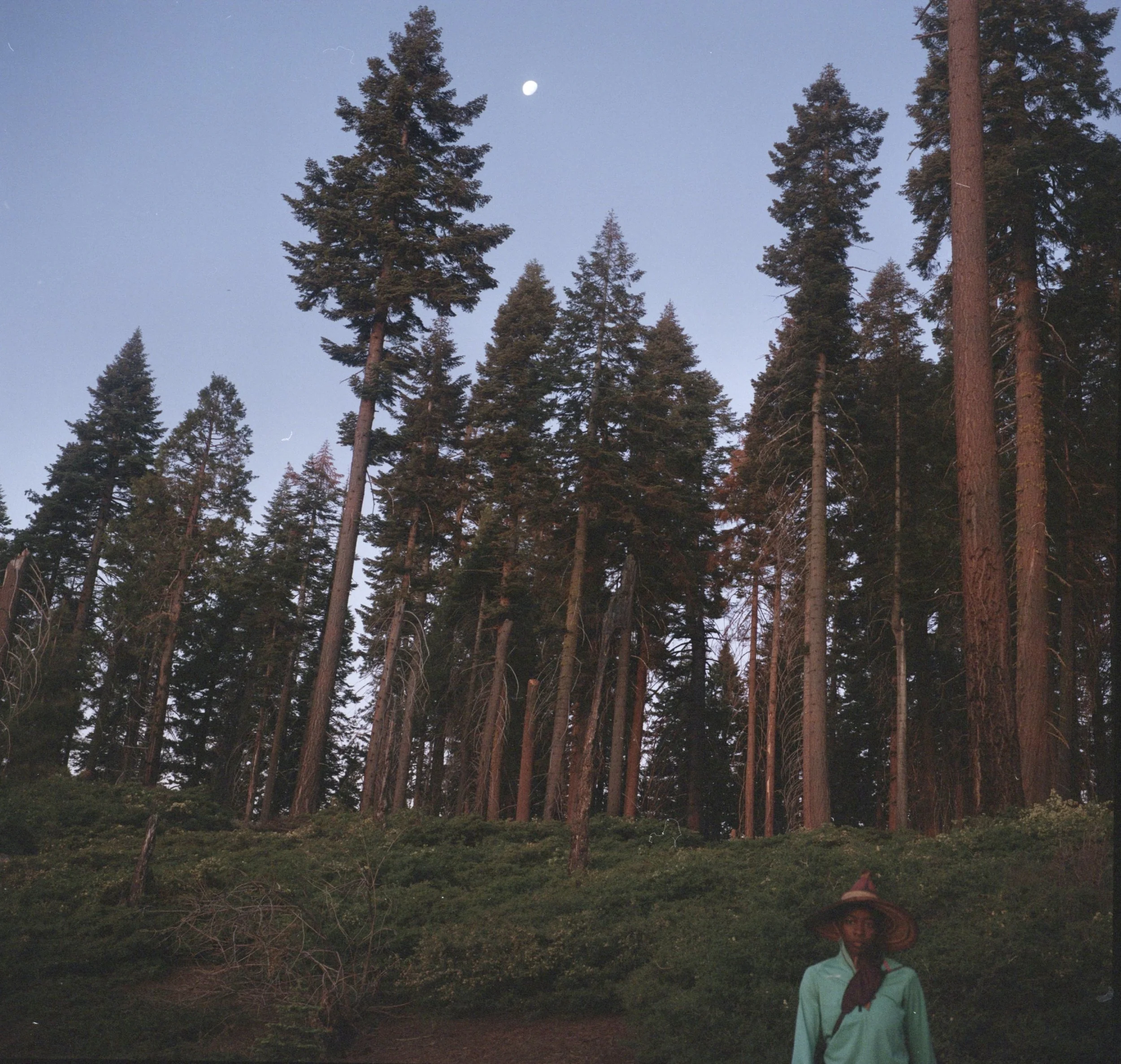 YOSEMITE20220627.jpg