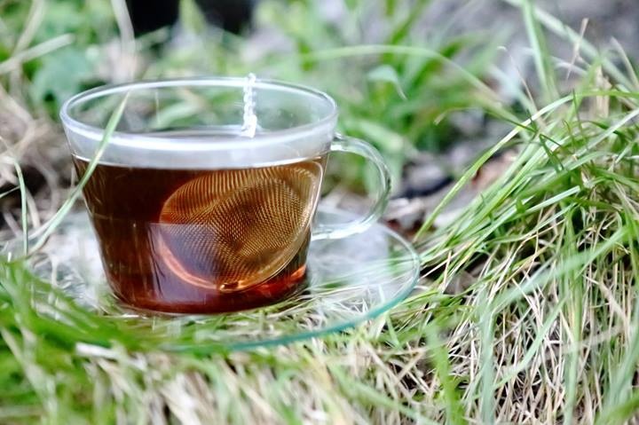 cup in grass.jpg
