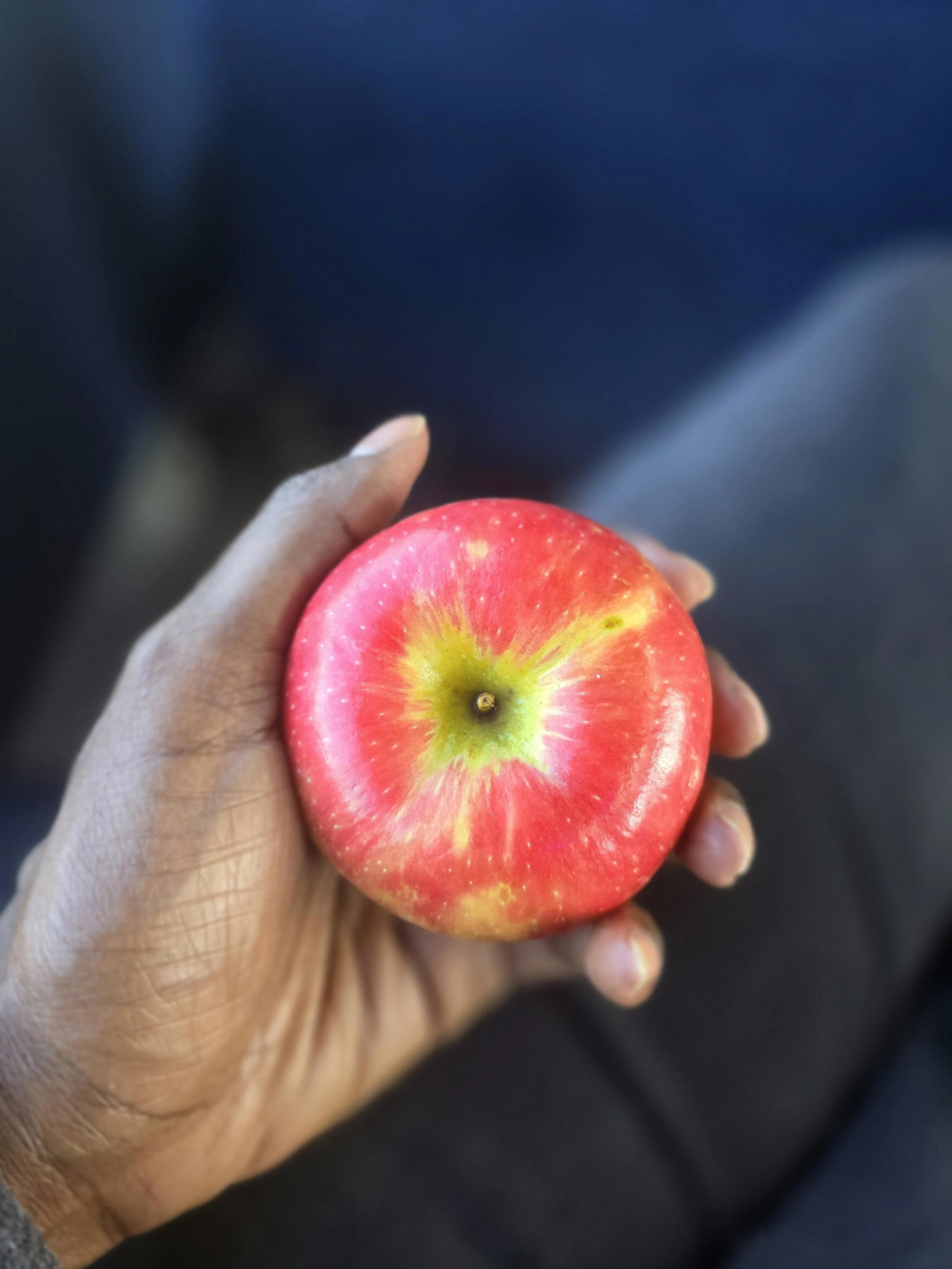 THE EASTERN PERSPECTIVE: APPLE