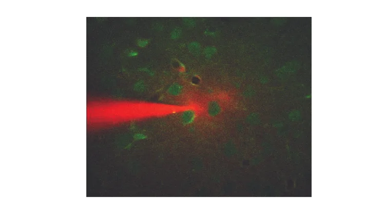 pipette_neurons2.jpg