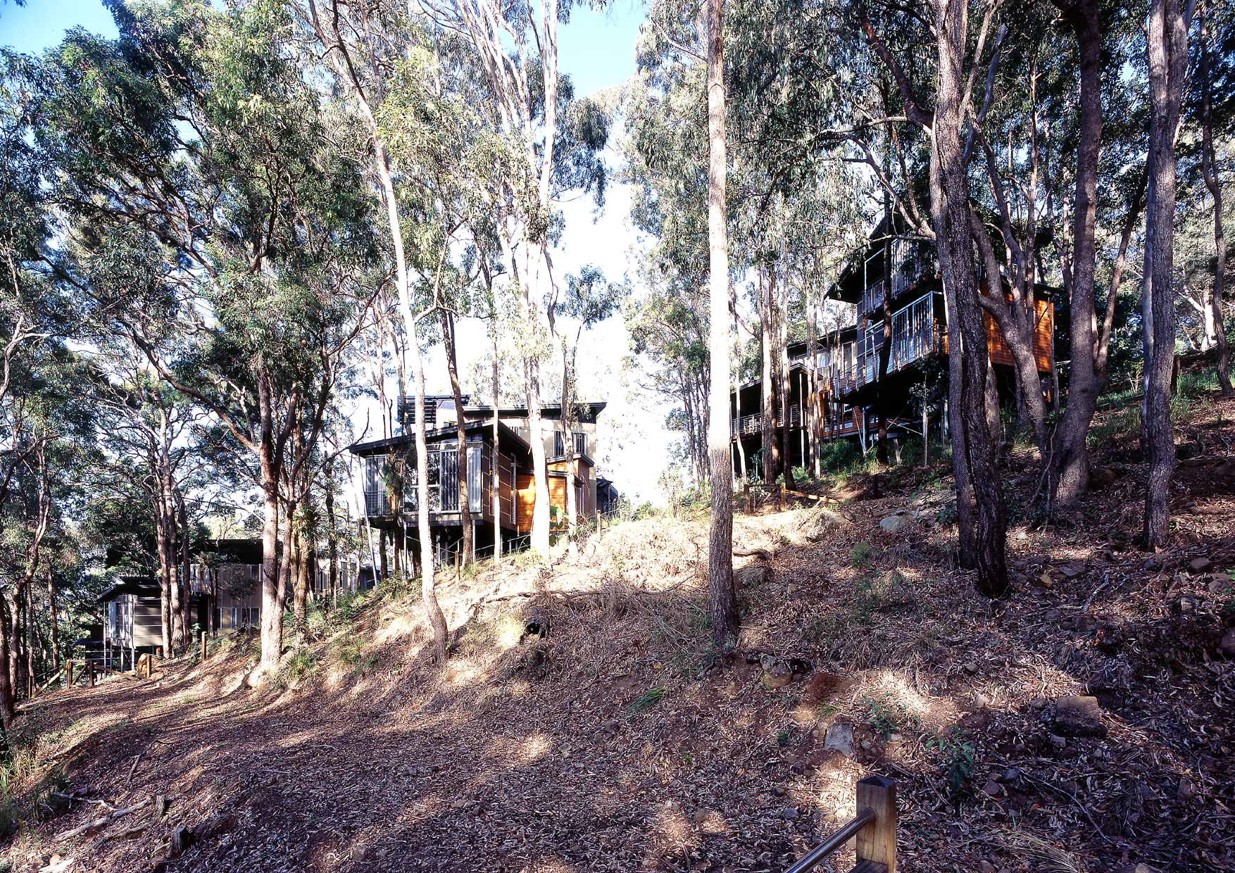 Viridian Houses