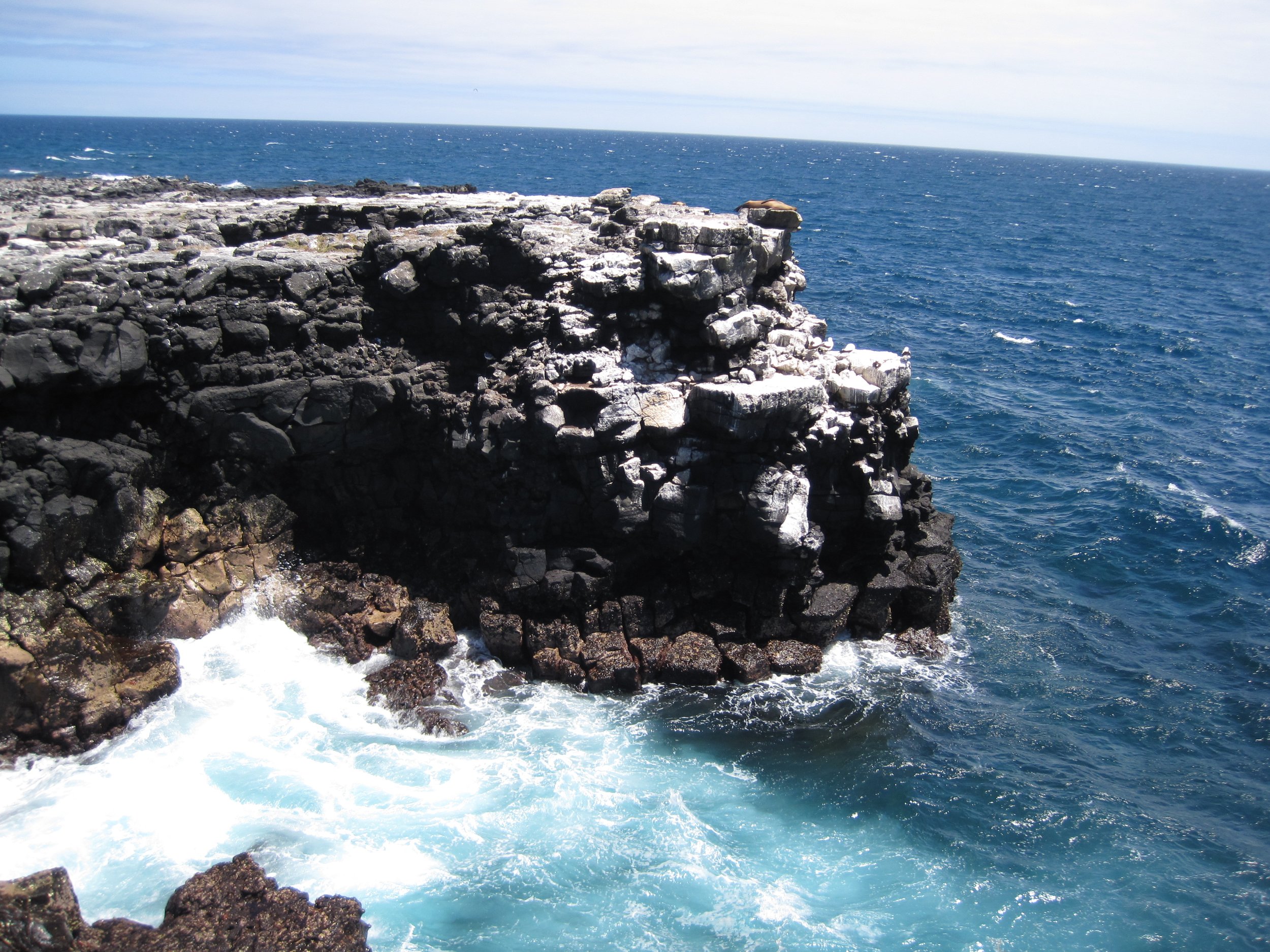 Galapagos, 2011