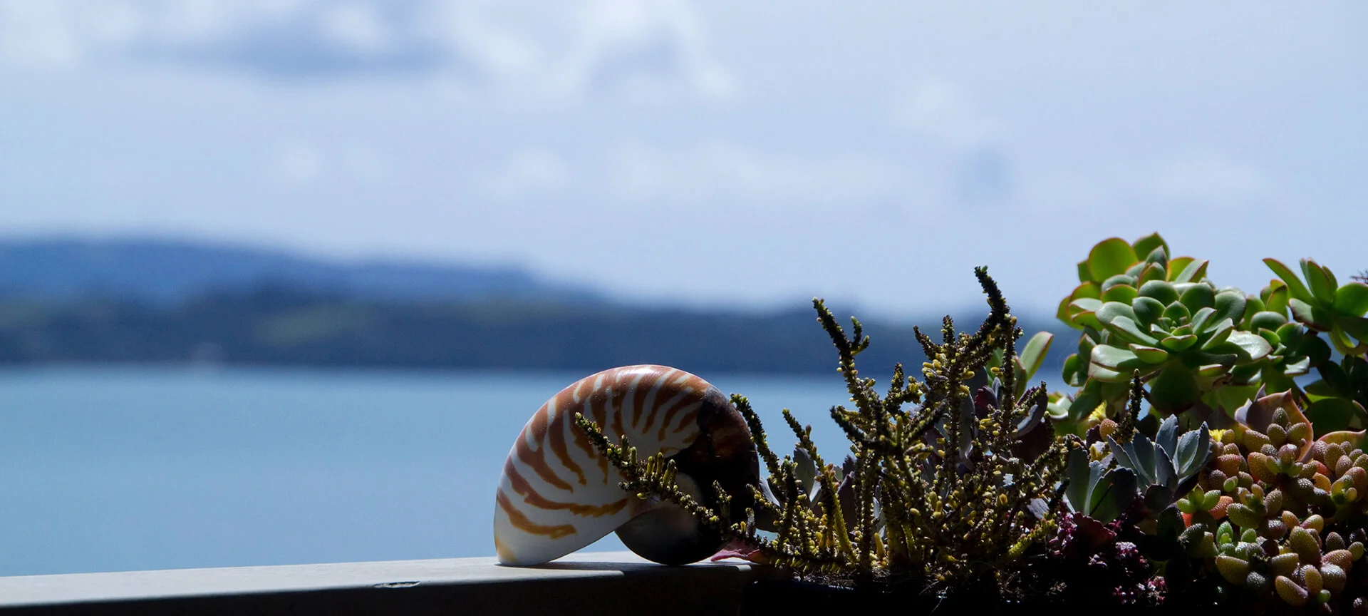 "Every transition begins with an ending. We have to let go of the old thing before we can pick up the new one – not just outwardly, inwardly." William Bridges