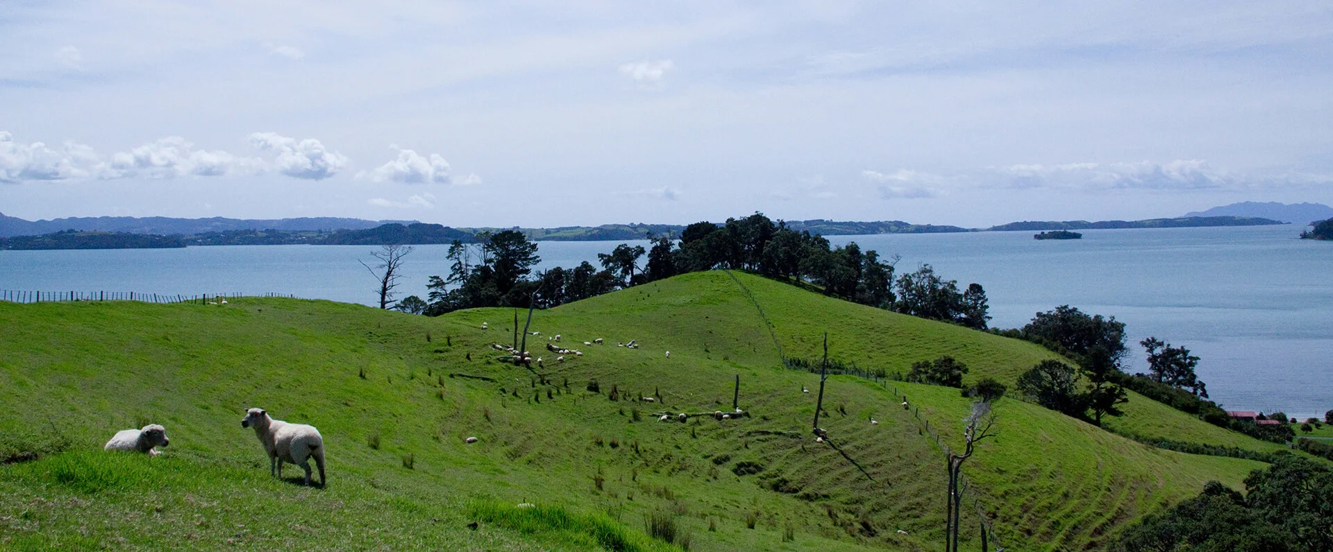 "We would like to extend our thanks again for our time with you.