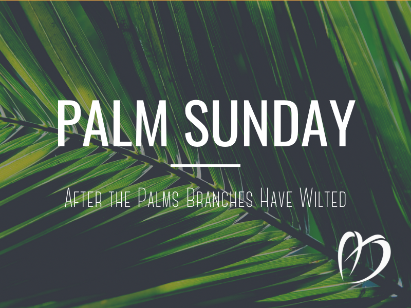 After The Palms Branches Have Wilted episode artwork
