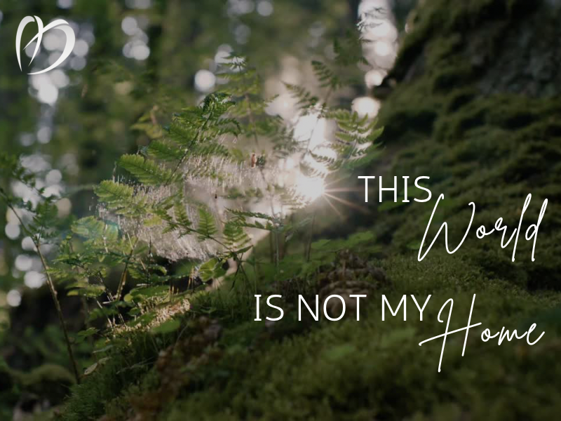 This World is Not My Home, Week 1 - Heaven or Hell episode artwork
