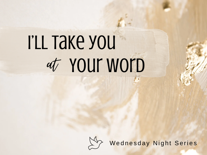 I'll Take You At Your Word - Guest Speaker episode artwork