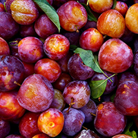 PLUMS 35-40 lbs Pitted