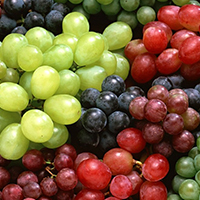 GRAPES 45 lbs De-stemmed