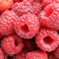 RASPBERRY 25 lbs