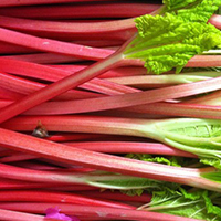 RHUBARB 25 lbs Chopped