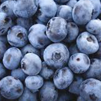 BLUEBERRY 35-40 lbs