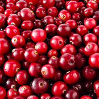 CRANBERRY 30-35 lbs