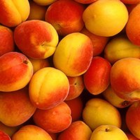 PEACH or NECTARINE 25 lbs Cut into pieces
