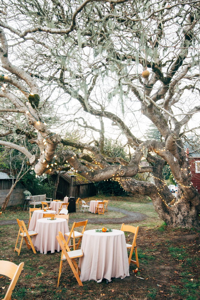 Tables in the Buckeye Lot for a wedding, November 2016. Photo: Julie Pepin.