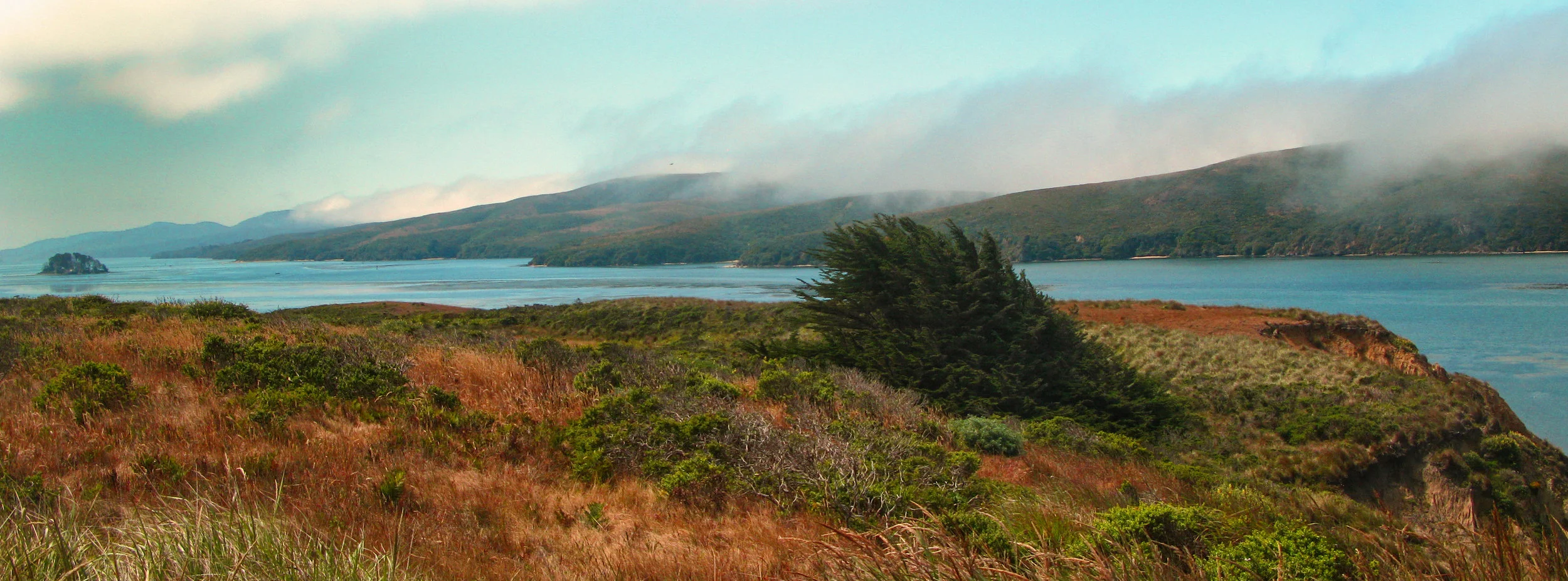 Tamalko: A California Story
