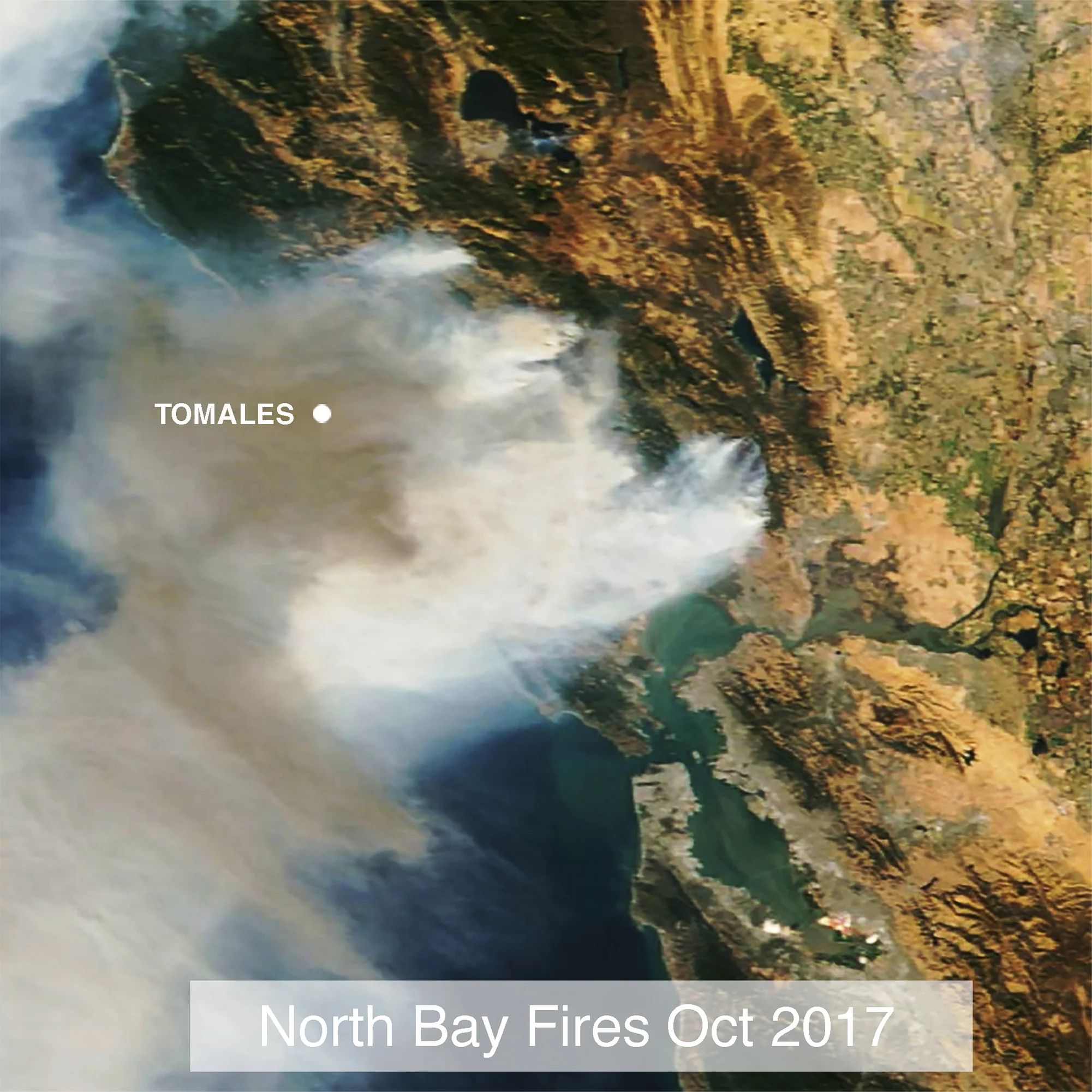 Town Meeting on Responding to Disaster