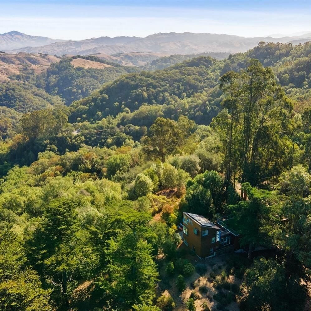 An eco-minded home nestled among trees on the ridge of the Oakland Hills.

See more of this home: #SkylineGreenHome 

#BlueTruckStudio #ResidentialDesign #SanFranciscoArchitect #CaliforniaArchitect #CaliforniaArchitecture #GreenArchitecture #Sustaina