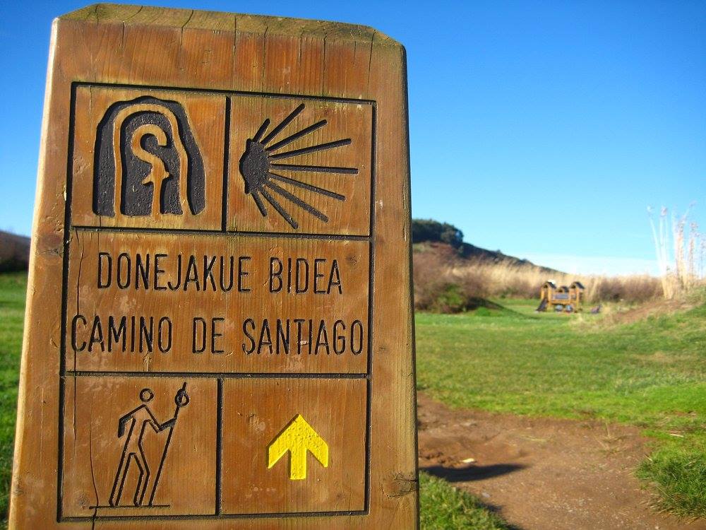 Walk The Grand Camino Destiny Of A, El Camino Landscape Inc