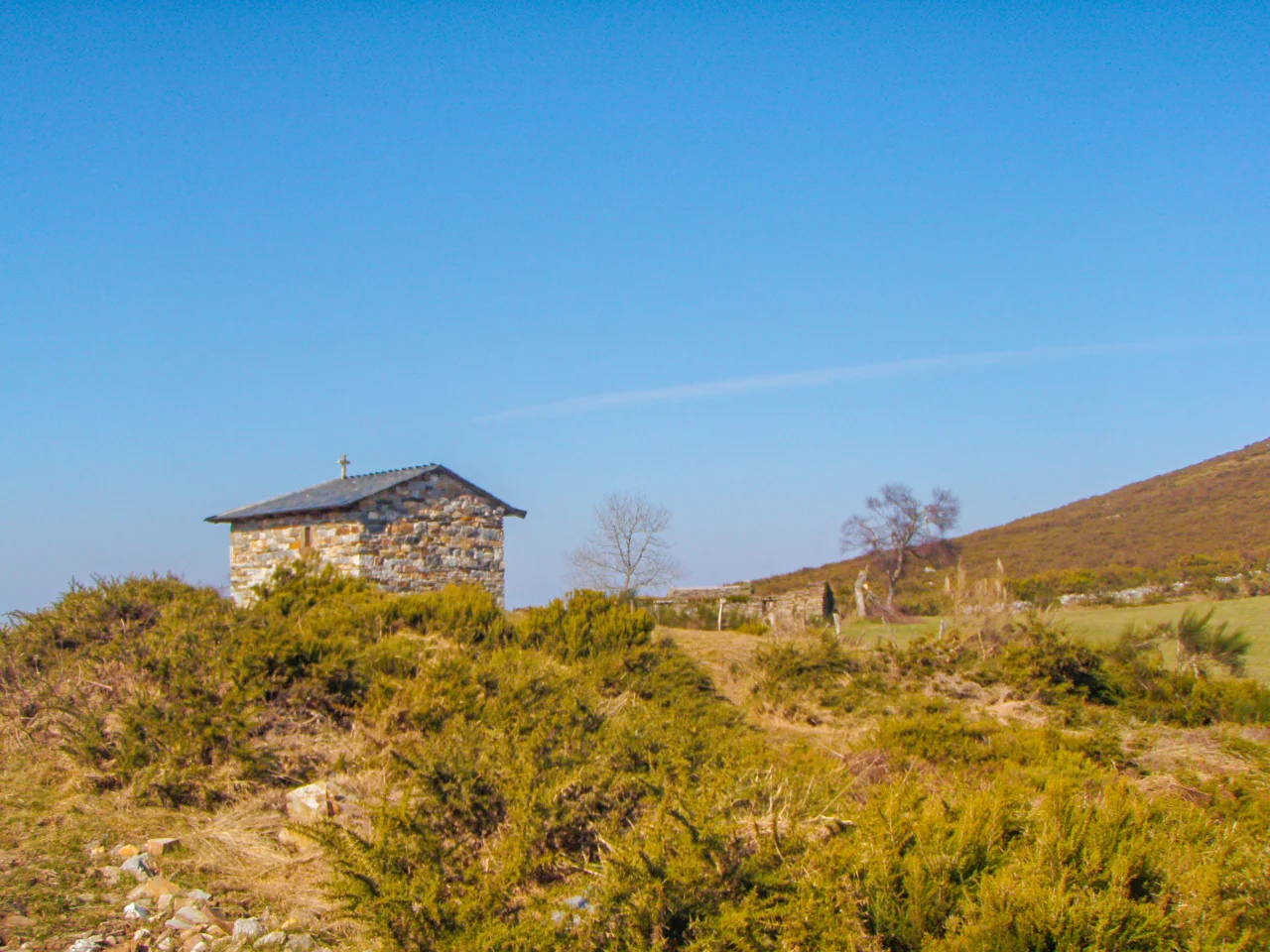 P2210816.jpg