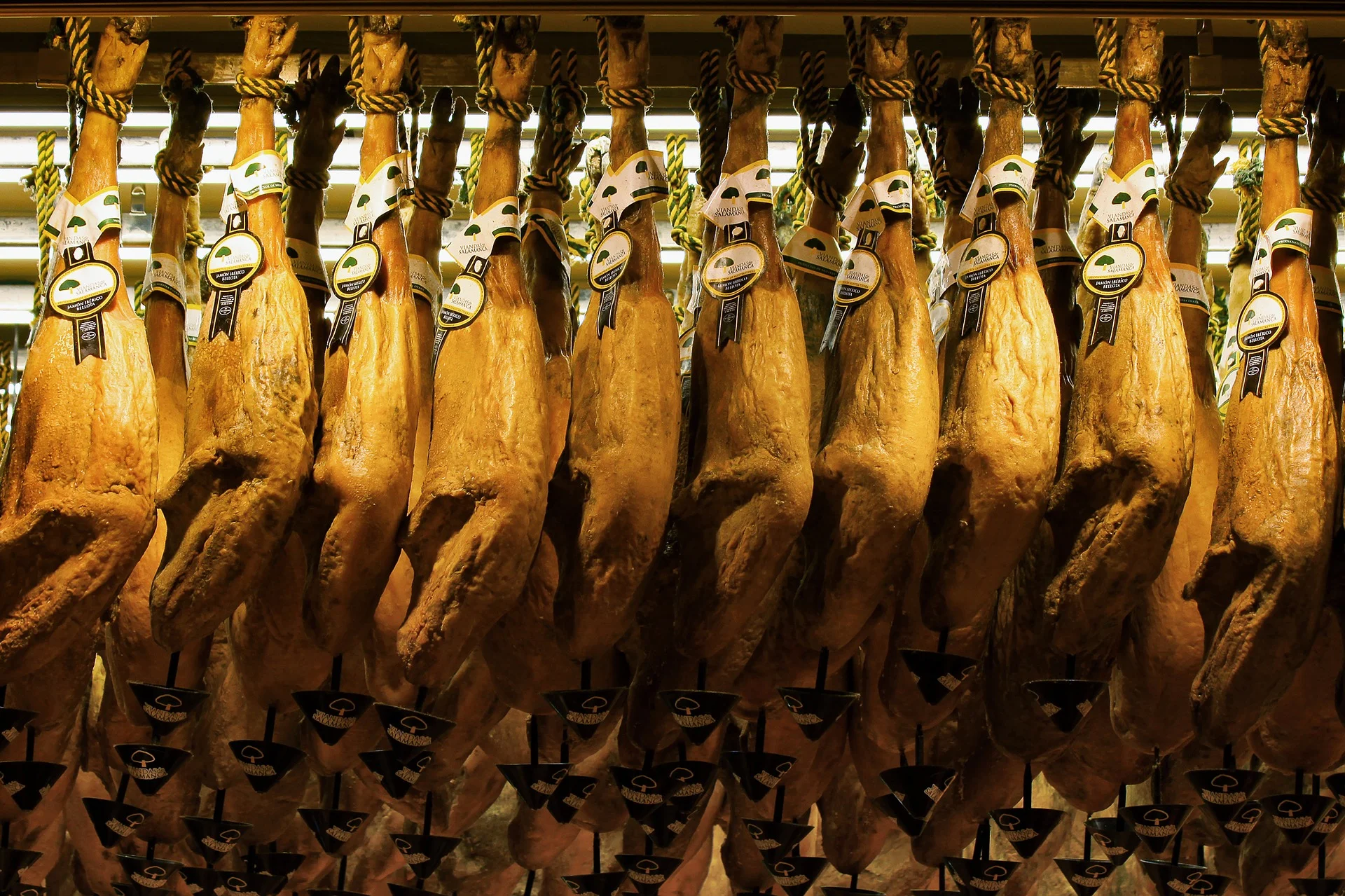 jamon-2027499_1920.jpg